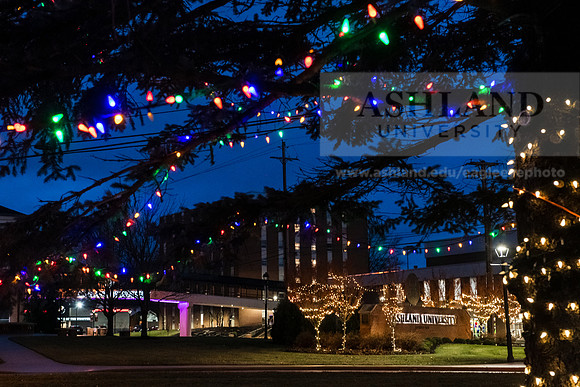 ChristmasDecorations1224AWB_5400