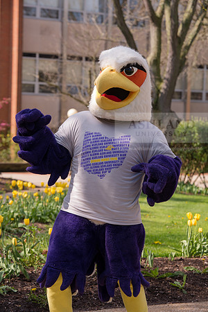 Tuffy0416ALW_1111