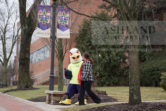 Tuffy - Campus Wellness Program