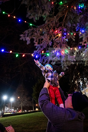 ChristmasDecorations1224AWB_5275