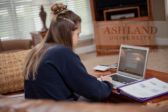OnlineEducation0420ALW_1099