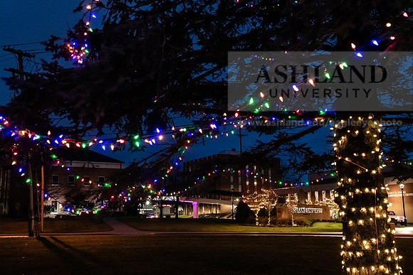 ChristmasDecorations1224AWB_5432