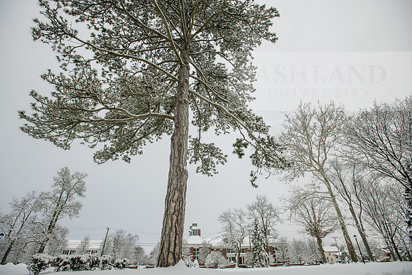 WinterCampusLife0123ALW_3162