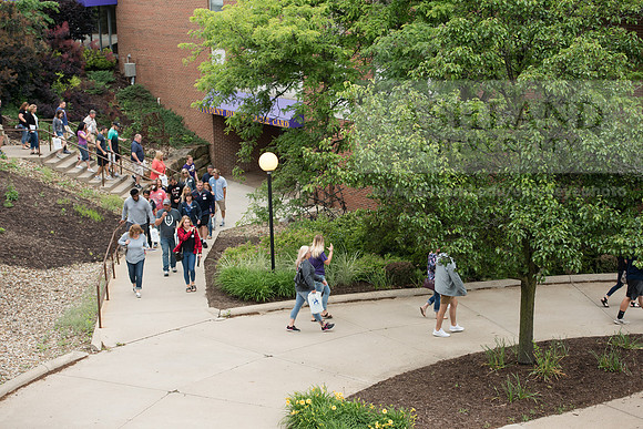 Orientation Number 2