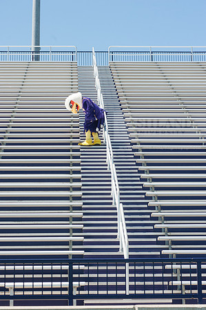 Tuffy Preparing for Marathon