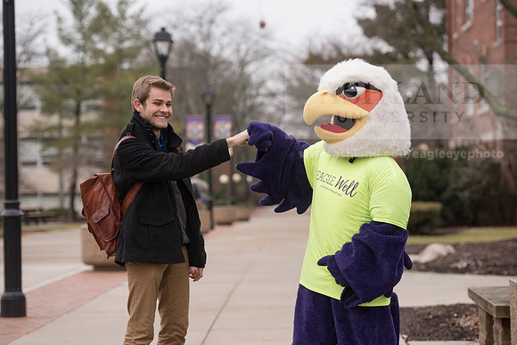 Tuffy - Campus Wellness Program