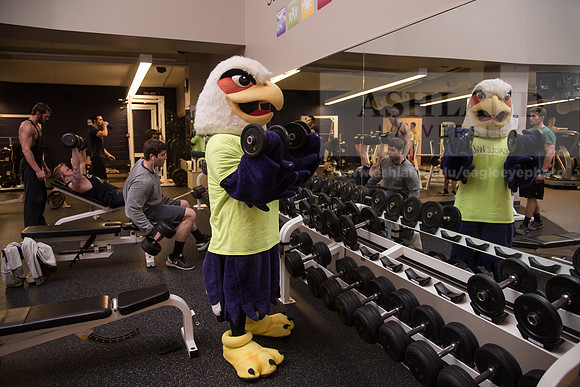Tuffy - Campus Wellness Program