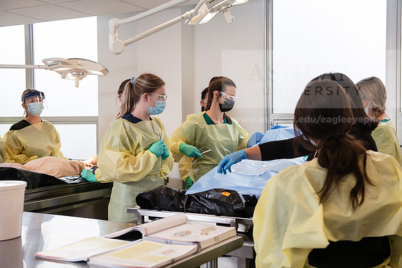 PAProgramCadaverLab1221ALW_3930