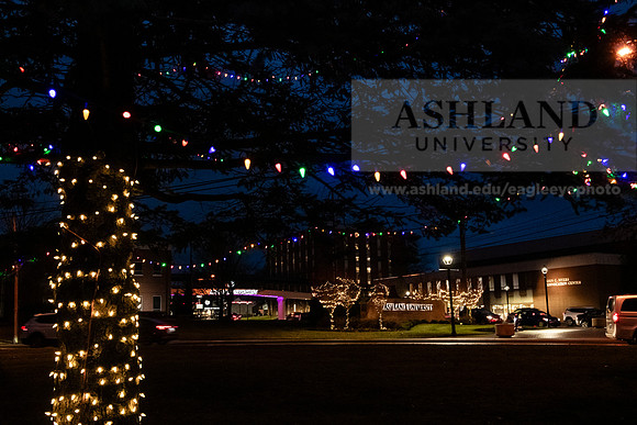 ChristmasDecorations1224AWB_5430