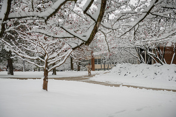 WinterCampusLife0123ALW_2998