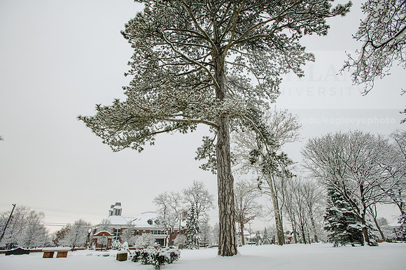 WinterCampusLife0123ALW_3217