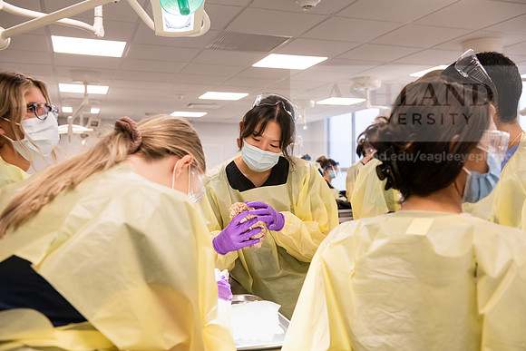 PAProgramCadaverLab1221ALW_3645