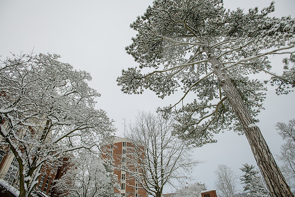 WinterCampusLife0123ALW_3157