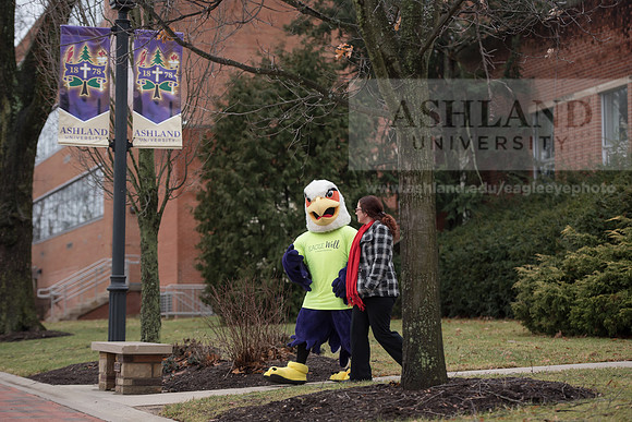 Tuffy - Campus Wellness Program