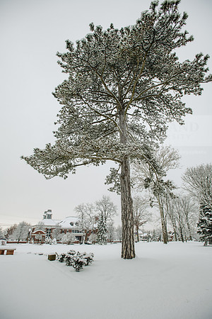 WinterCampusLife0123ALW_3214