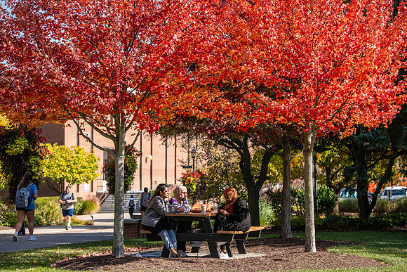 FallCampus1024AWB_5787
