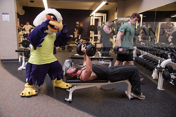 Tuffy - Campus Wellness Program