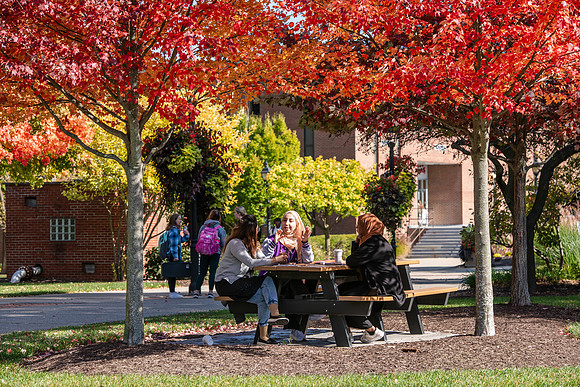 FallCampusLife1024AWB_5851