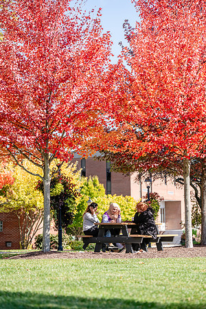 FallCampusLife1024AWB_5939