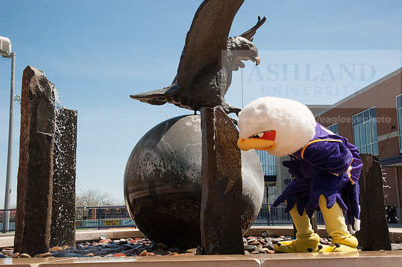 Tuffy Preparing for Marathon