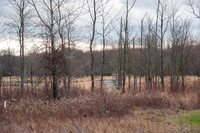 Black Fork Wetlands