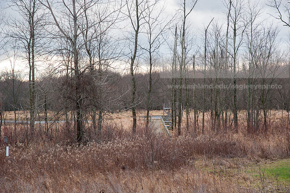 Black Fork Wetlands