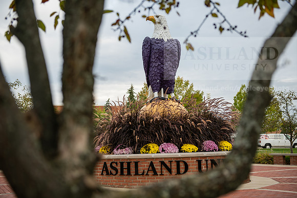 FallCampusLife1023AWB_1471