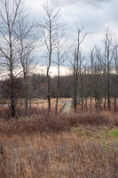Black Fork Wetlands