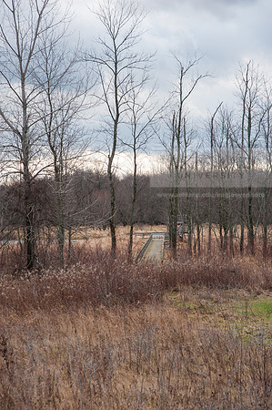 Black Fork Wetlands