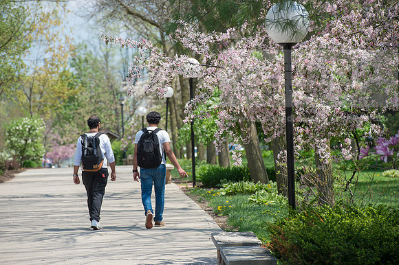 SpringCampus0515ALW_3801