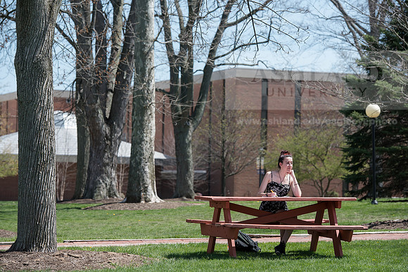 Spring Campus
