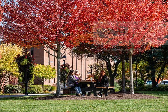 FallCampusLife1024AWB_5803