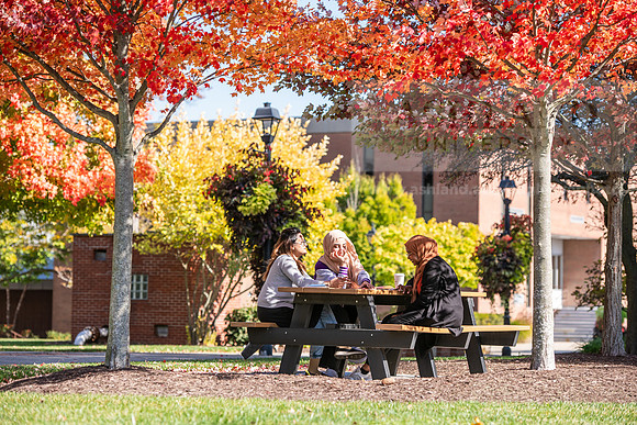 FallCampusLife1024AWB_5892