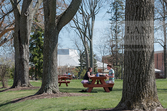 Spring Campus