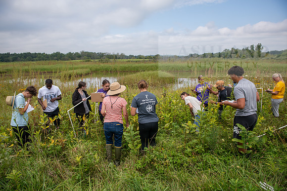 Biology_Saunders_BlackFork_Milkweed0923AWB_3501
