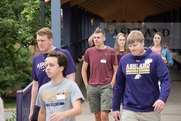 Orientation Number 2
