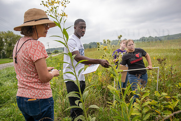 Biology_Saunders_BlackFork_Milkweed0923AWB_3608