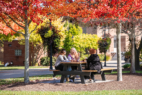 FallCampusLife1024AWB_5901
