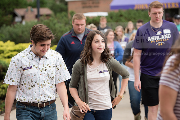 Orientation Number 2