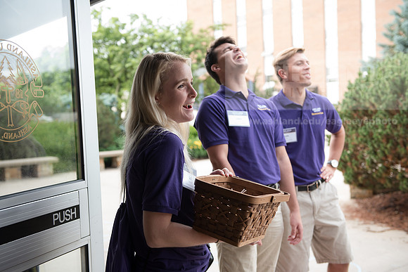 Orientation Number 2