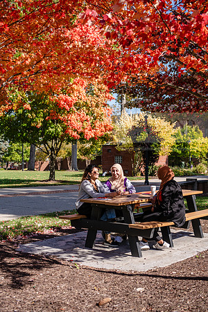 FallCampusLife1024AWB_5964