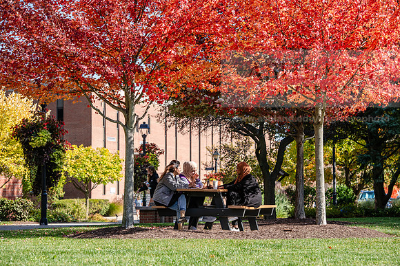 FallCampusLife1024AWB_5809