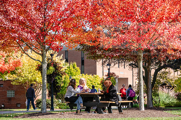 FallCampusLife1024AWB_5868