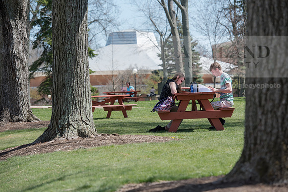 Spring Campus
