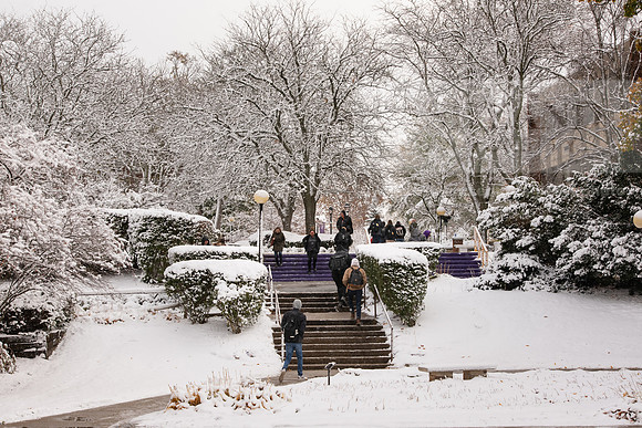 CampusSnow1119ALW_0016