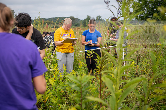 Biology_Saunders_BlackFork_Milkweed0923AWB_3617