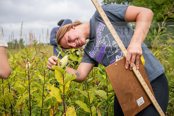 Biology_Saunders_BlackFork_Milkweed0923AWB_3628