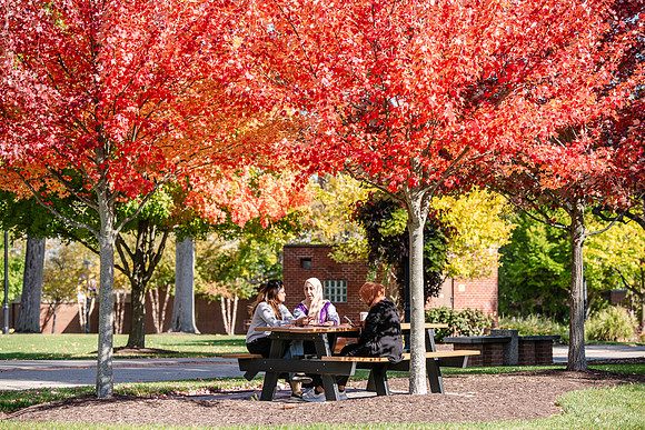 FallCampusLife1024AWB_5951