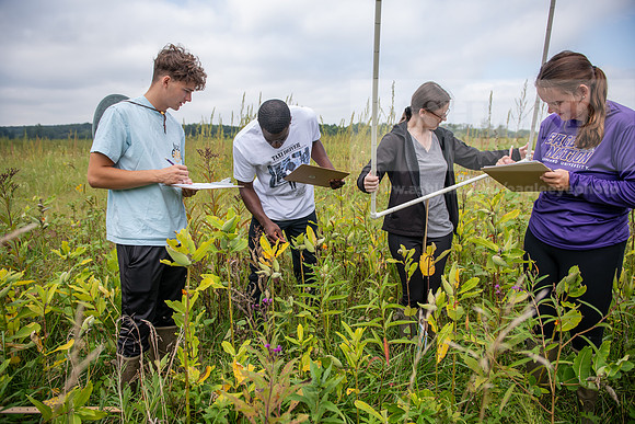 Biology_Saunders_BlackFork_Milkweed0923AWB_3511