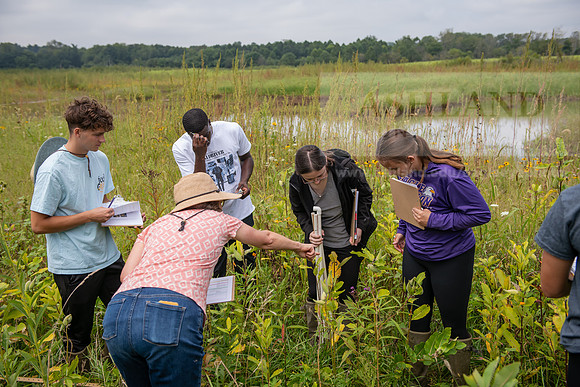 Biology_Saunders_BlackFork_Milkweed0923AWB_3490